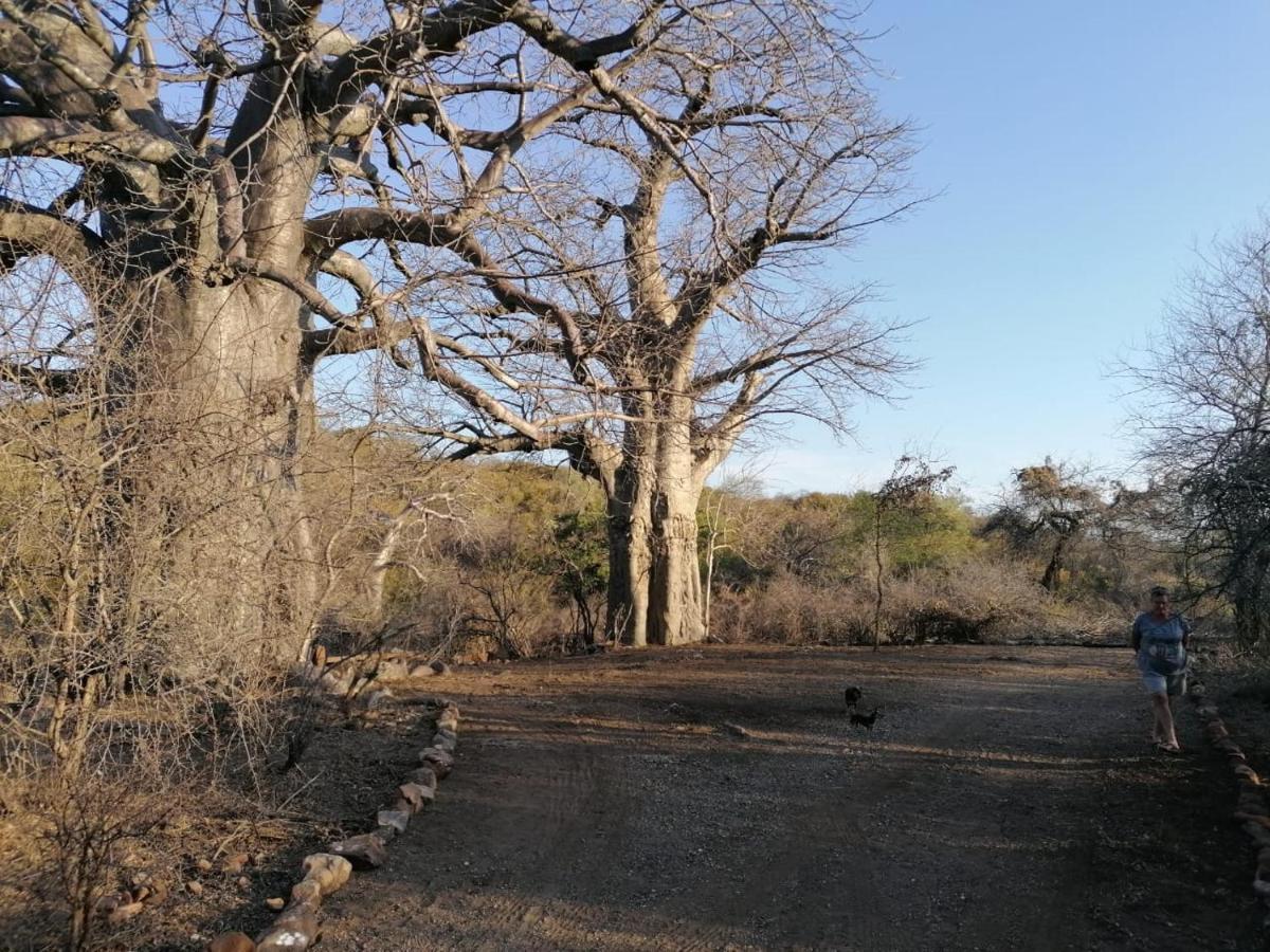 Nthakeni Bush & River Camp Pafuri Gate Exterior photo